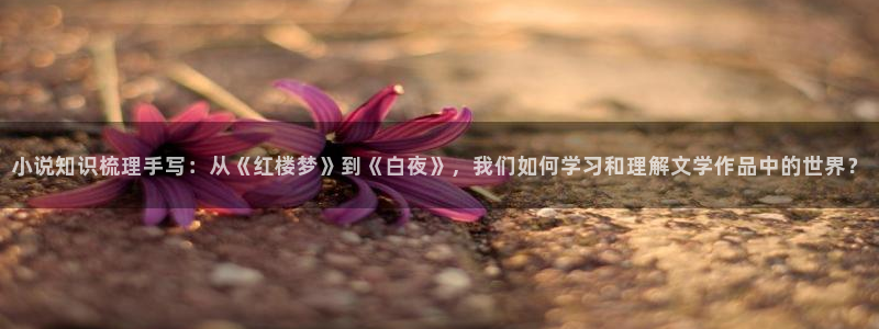 搜书吧2025搜书吧网址：小说知识梳理手写：从《红楼梦》到《白夜》，我们如何学习和理解文学作品中的世界？