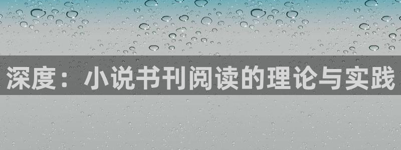 搜书吧2025搜书吧网址：深度：小说书刊阅读的理论与实践