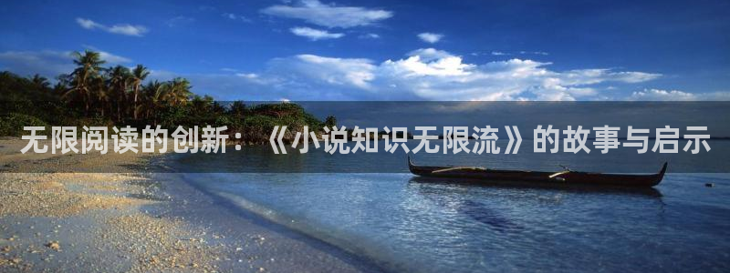 搜书吧进不去：无限阅读的创新：《小说知识无限流》的故事与启示