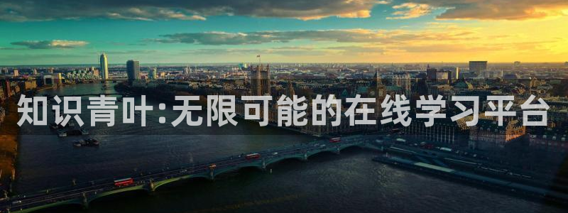 搜书吧最新：知识青叶:无限可能的在线学习平台
